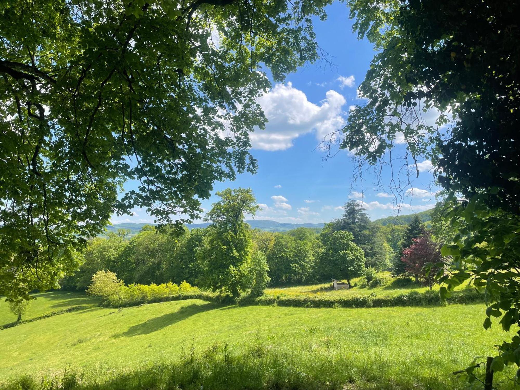 Chateau De Vaux Morvan Etang-sur-Arroux Esterno foto