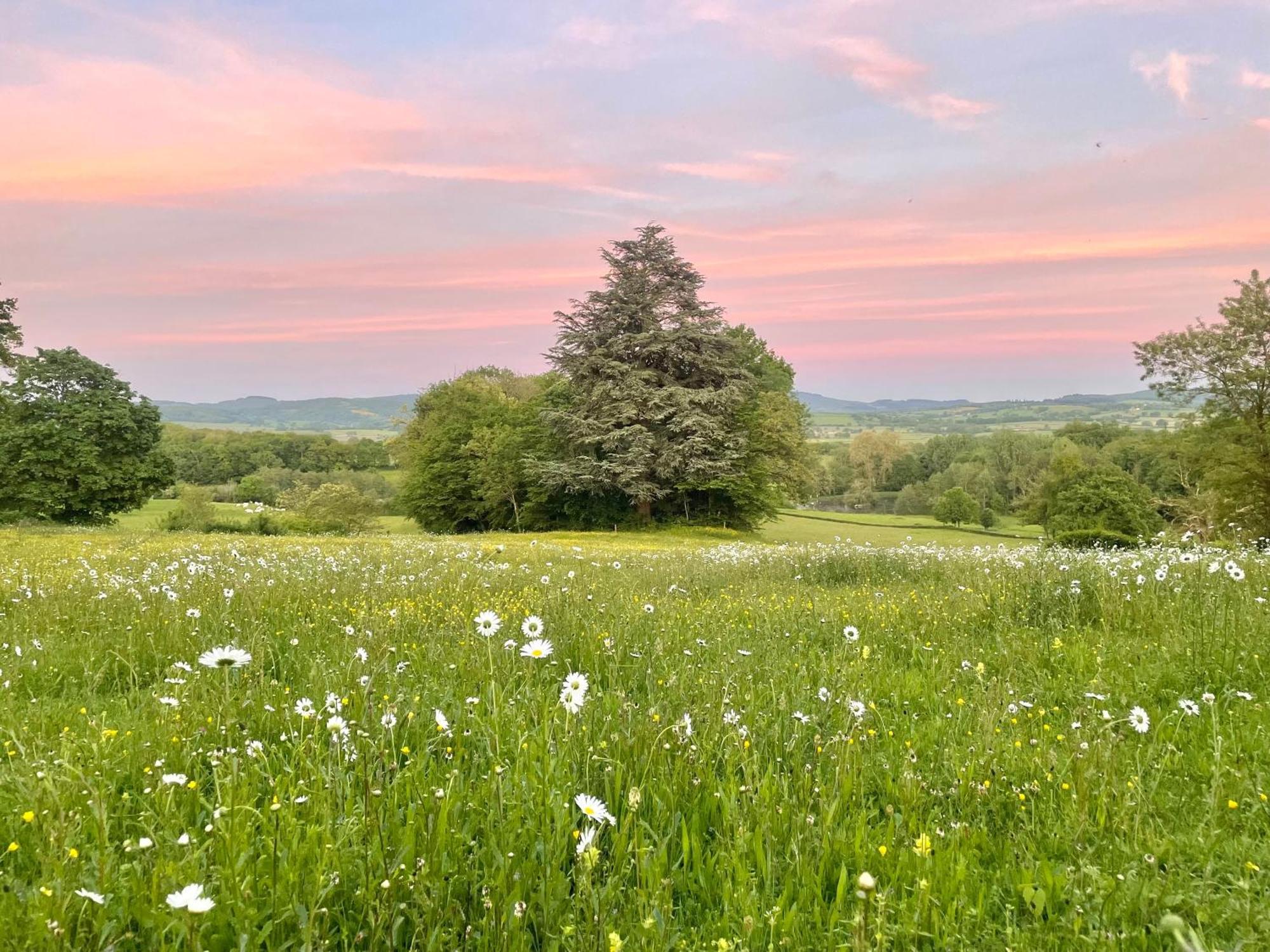 Chateau De Vaux Morvan Etang-sur-Arroux Esterno foto