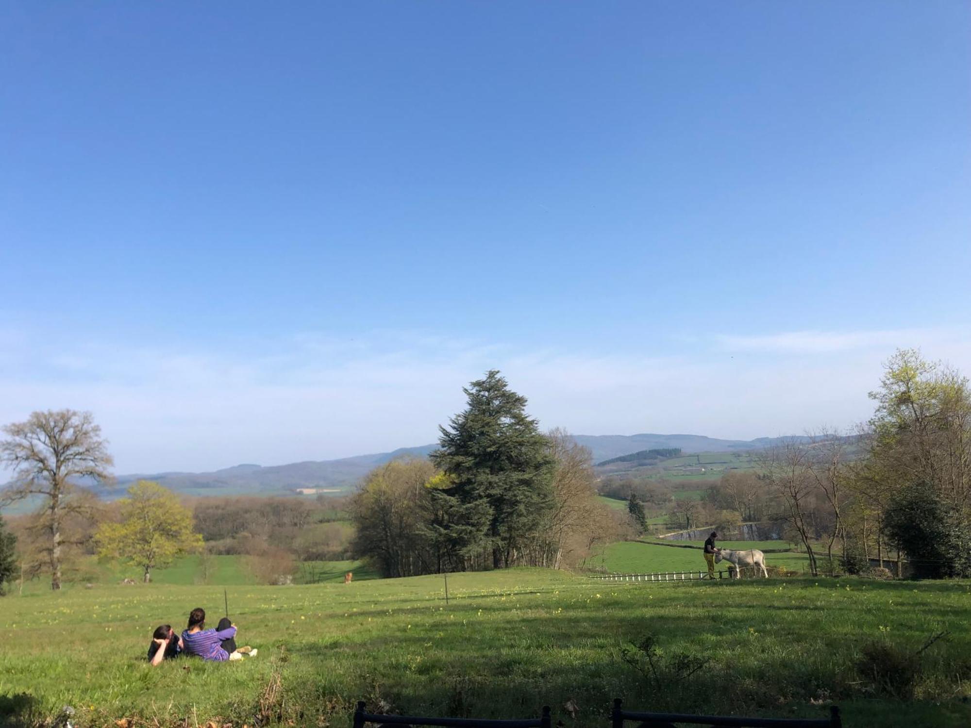 Chateau De Vaux Morvan Etang-sur-Arroux Esterno foto