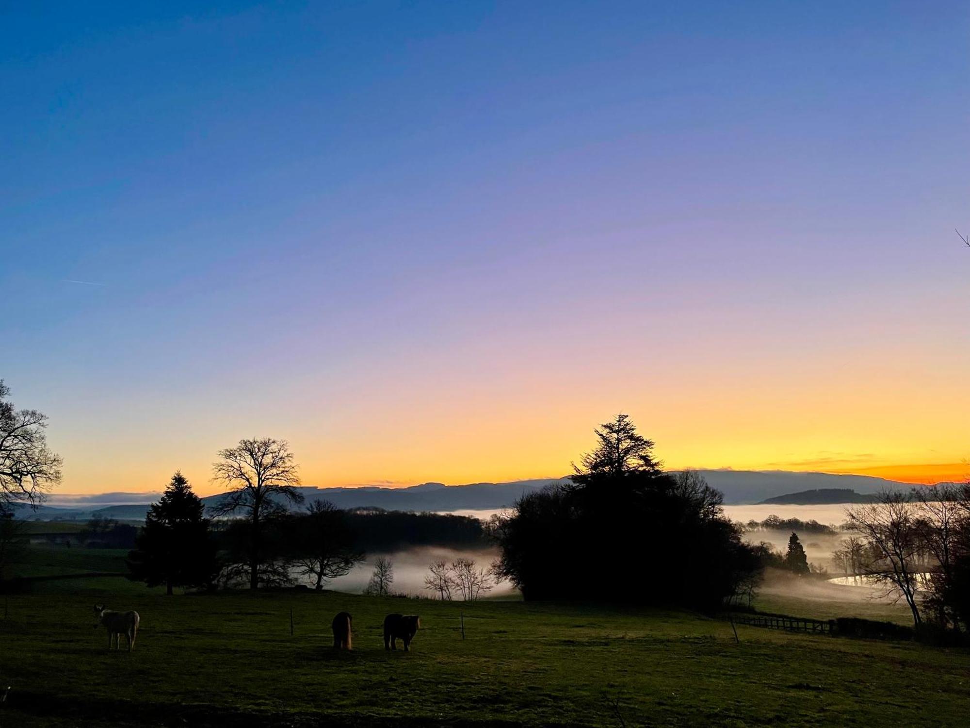 Chateau De Vaux Morvan Etang-sur-Arroux Esterno foto