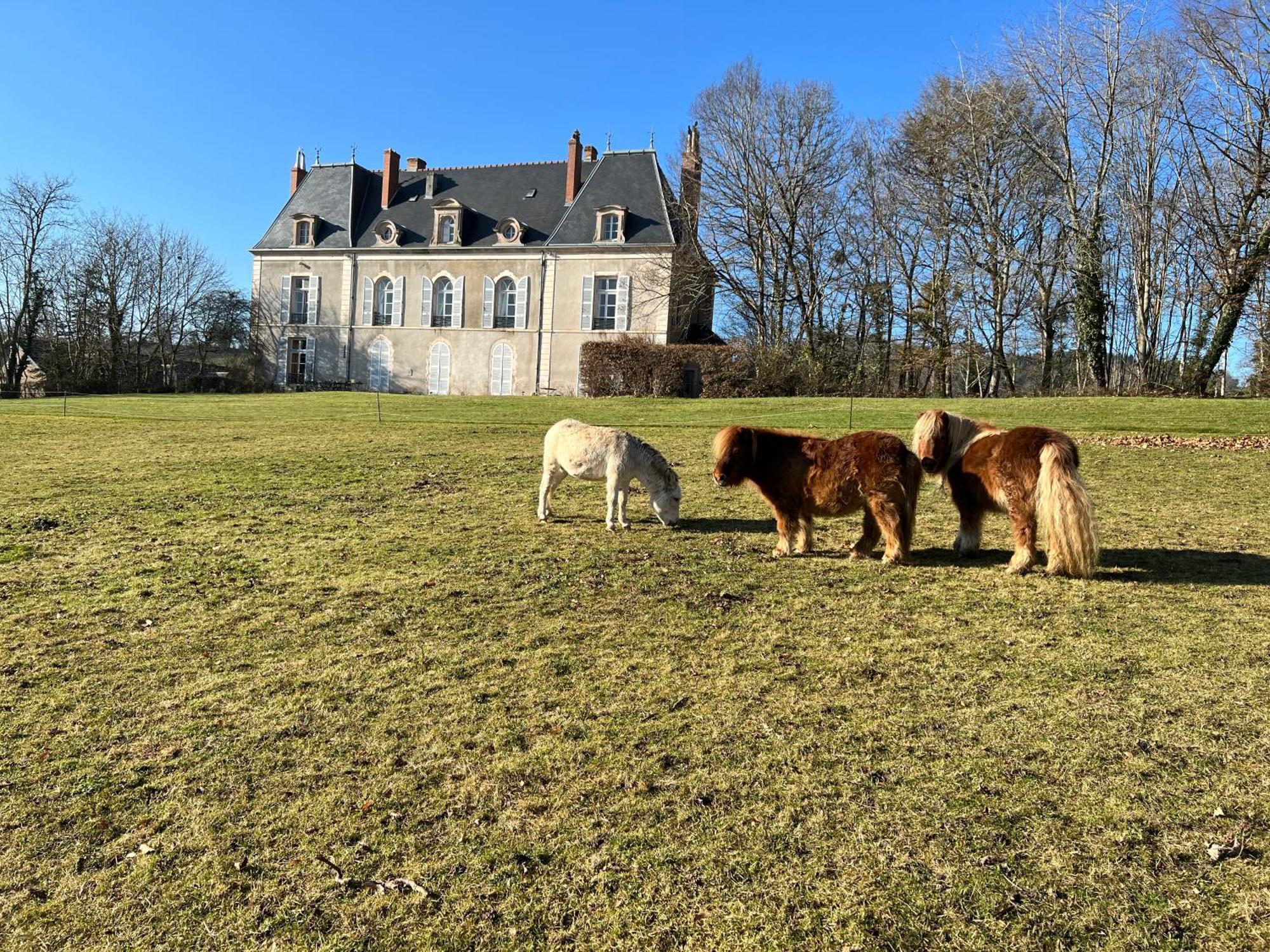 Chateau De Vaux Morvan Etang-sur-Arroux Esterno foto